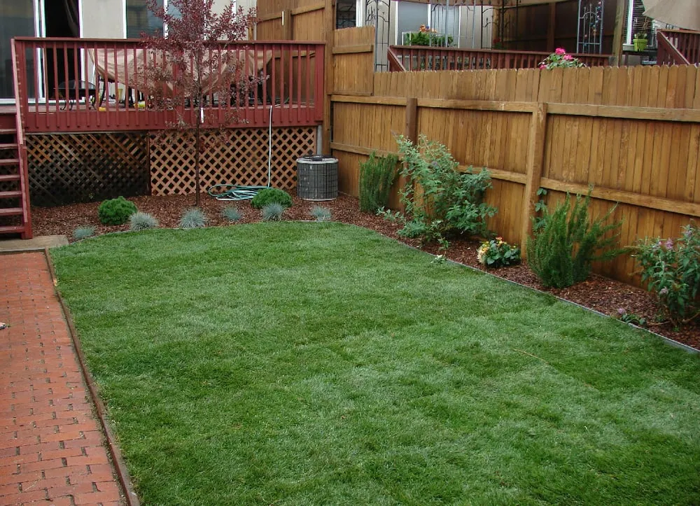 Local landscaping services near you in Littleton, CO by American Sprinkler & Landscape