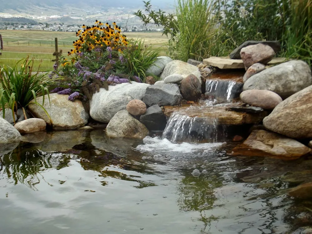 Reliable yard maintenance for year-round maintenance in Littleton, CO by American Sprinkler & Landscape