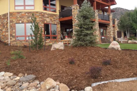 Local yard maintenance experts serving Littleton, CO - American Sprinkler & Landscape