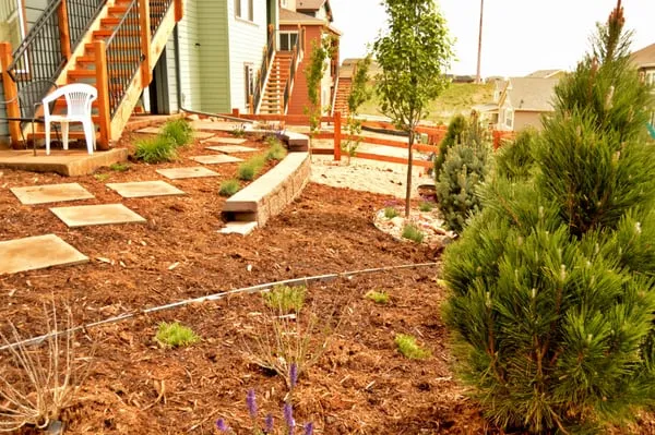 American Sprinkler & Landscape Logo