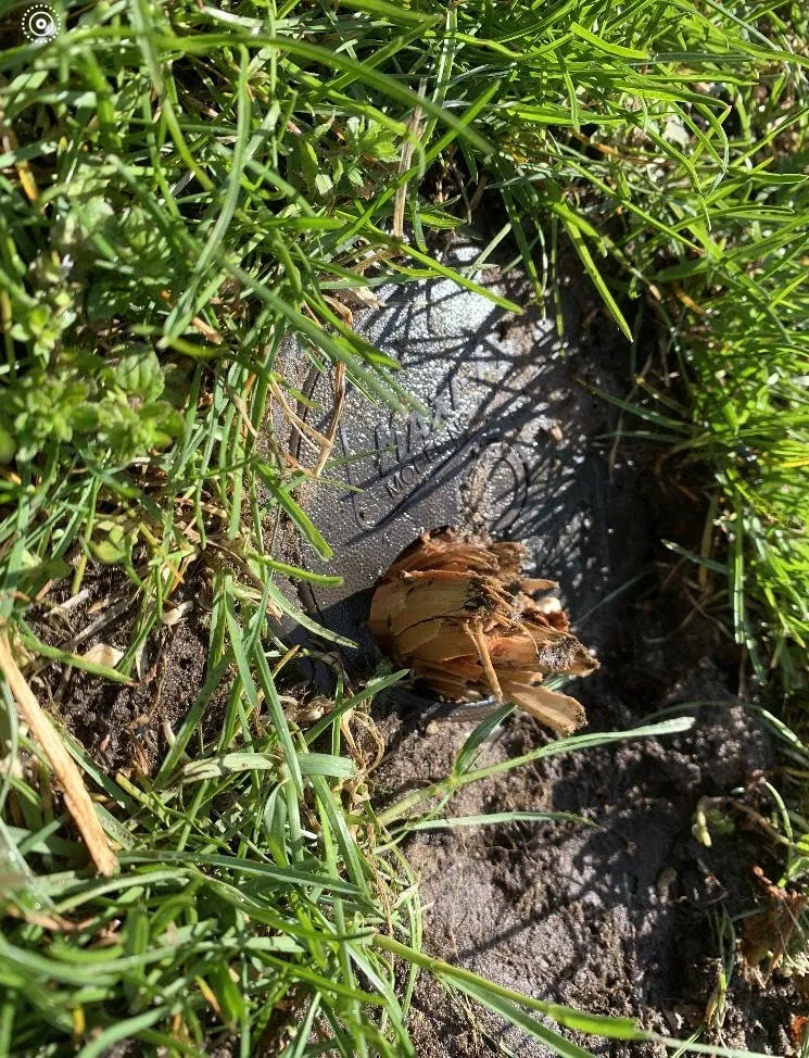 Trusted outdoor landscaping in Livonia, MI - American Sprinkler