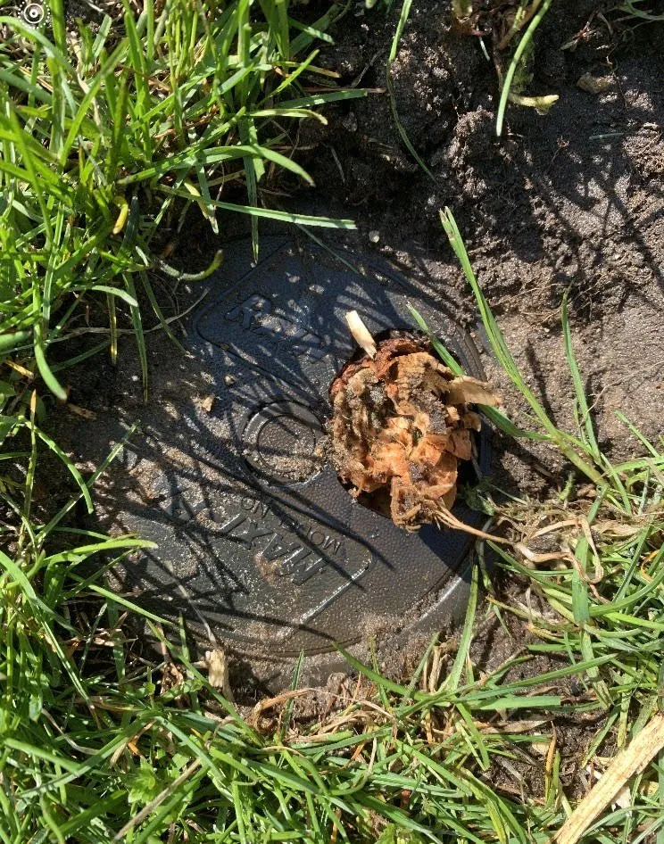 Custom landscape installation in Livonia, MI by American Sprinkler