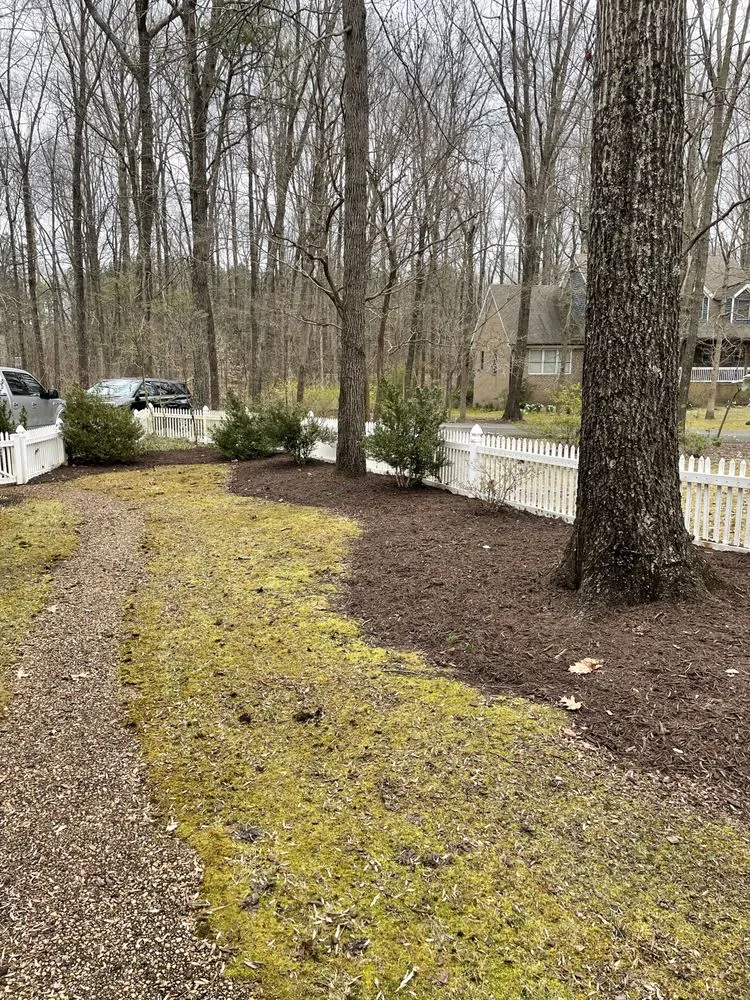 Top-rated yard cleanup service experts serving Cumberland, VA - American Strong Landscaping