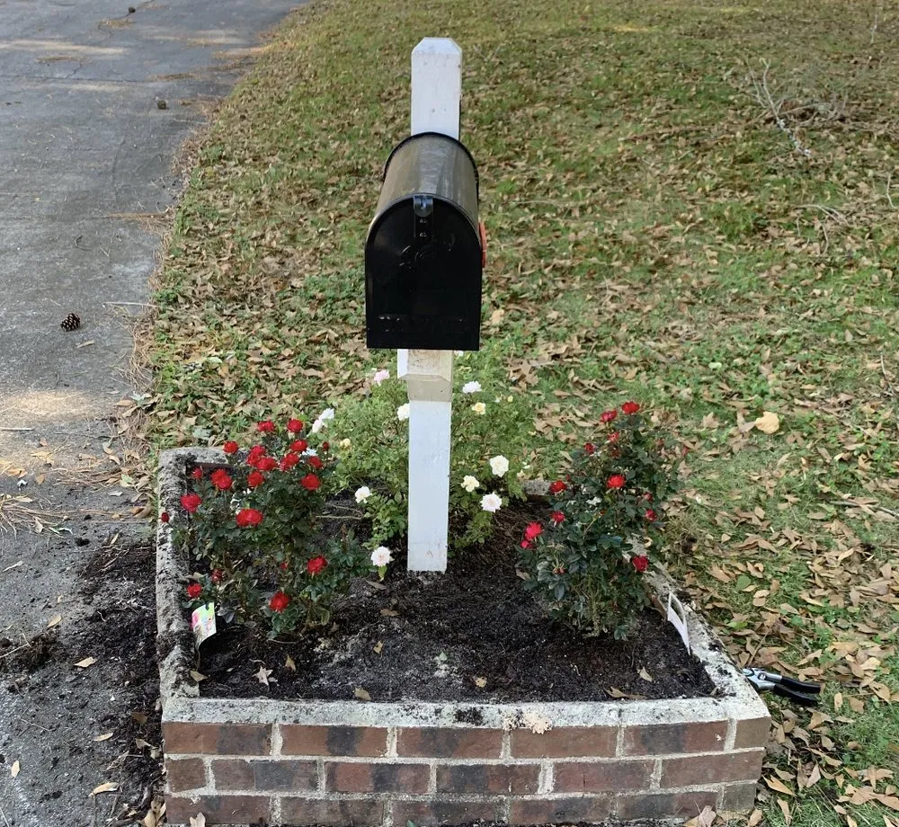 Affordable yard cleanup service in Loganville, GA by American Strong Lawn and Landscaping. Serving Loganville GA