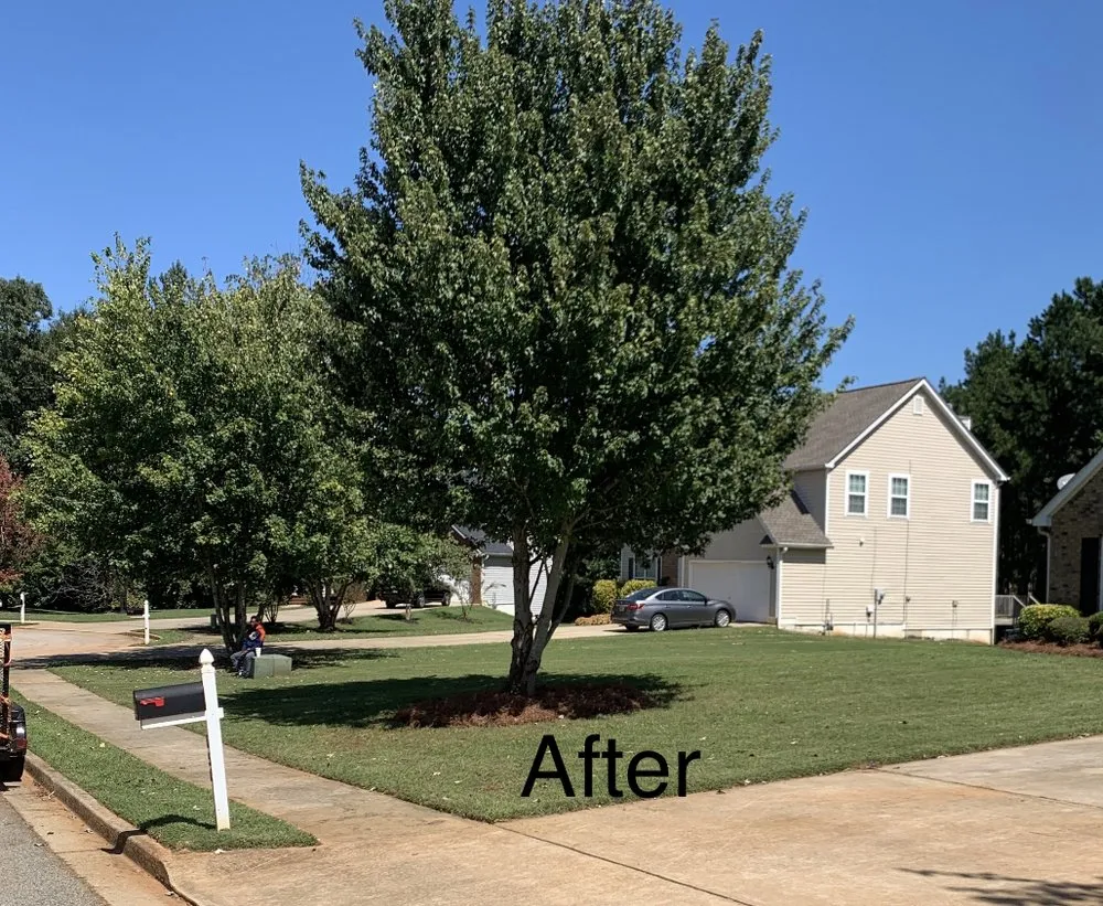 Top-rated landscaping services near you across Loganville, GA - American Strong Lawn and Landscaping. Serving Loganville GA