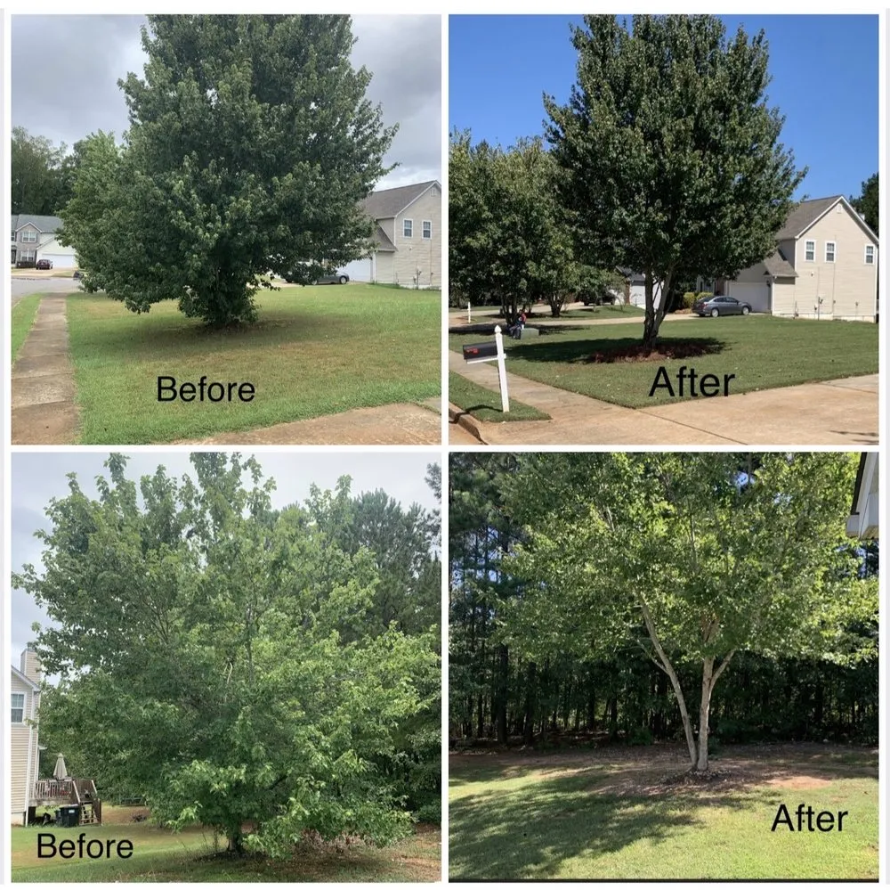 Custom landscape installation experts serving Loganville, GA - American Strong Lawn and Landscaping. Serving Loganville GA