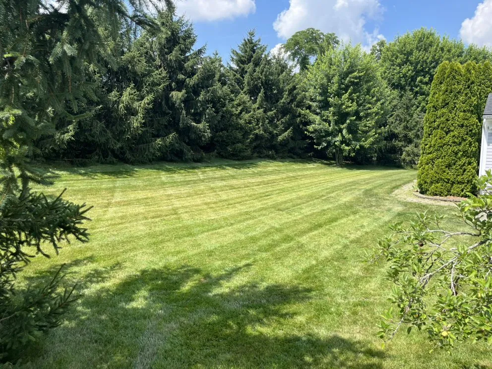 Professional lawn care service experts serving Cincinnati, OH - American Strong Mowing