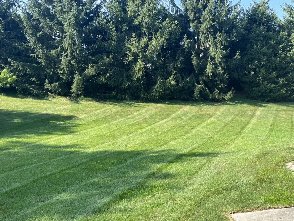 Trusted landscape design for residential properties in Cincinnati, OH by American Strong Mowing