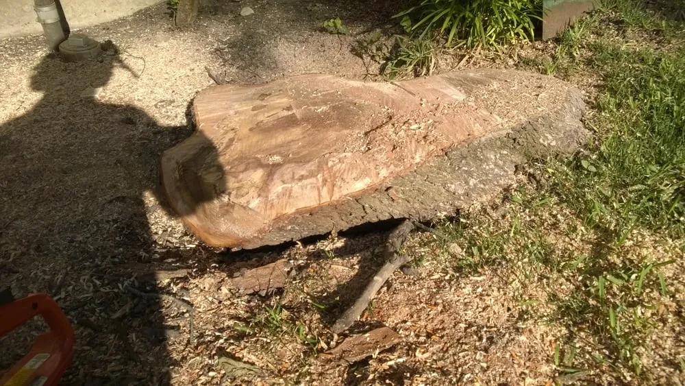 Reliable landscaping services for outdoor upgrades in Grand Prairie, TX by American Stump Grinding