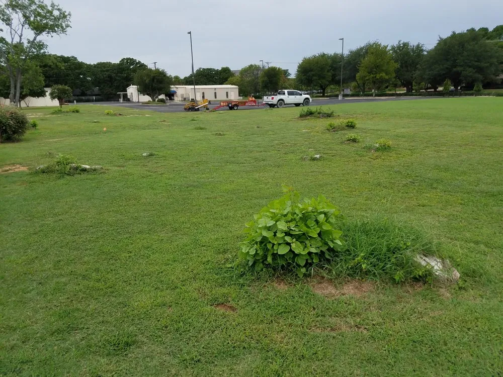 Reliable lawn mowing service experts serving Grand Prairie, TX - American Stump Grinding