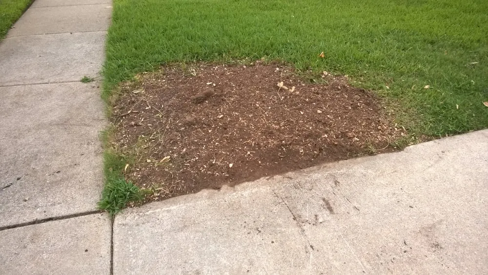 Affordable landscaping services for residential properties in Grand Prairie, TX by American Stump Grinding