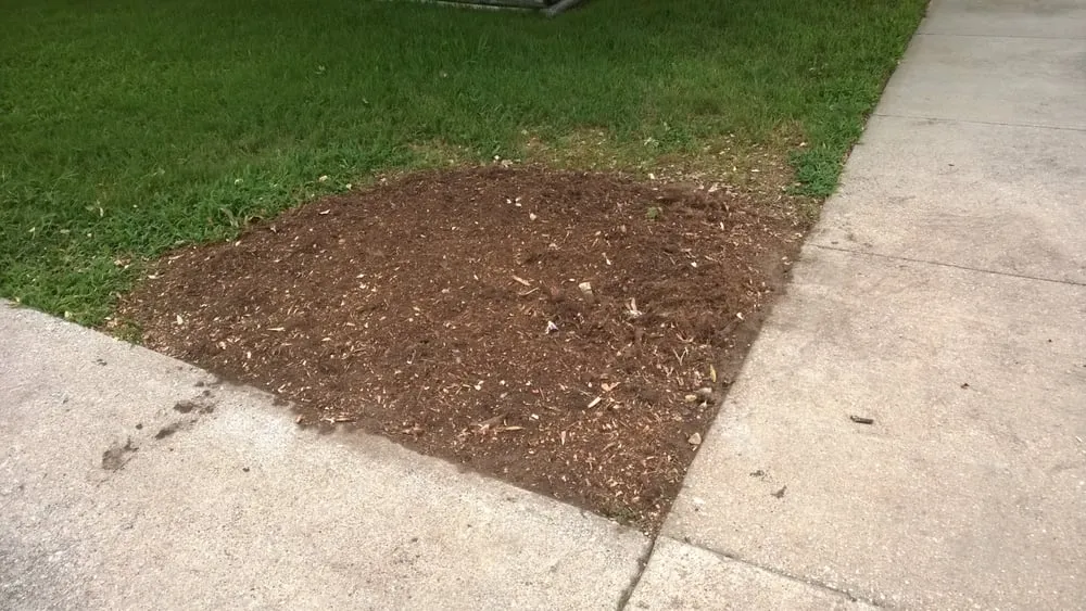 Expert lawn care service for year-round maintenance across Grand Prairie, TX - American Stump Grinding