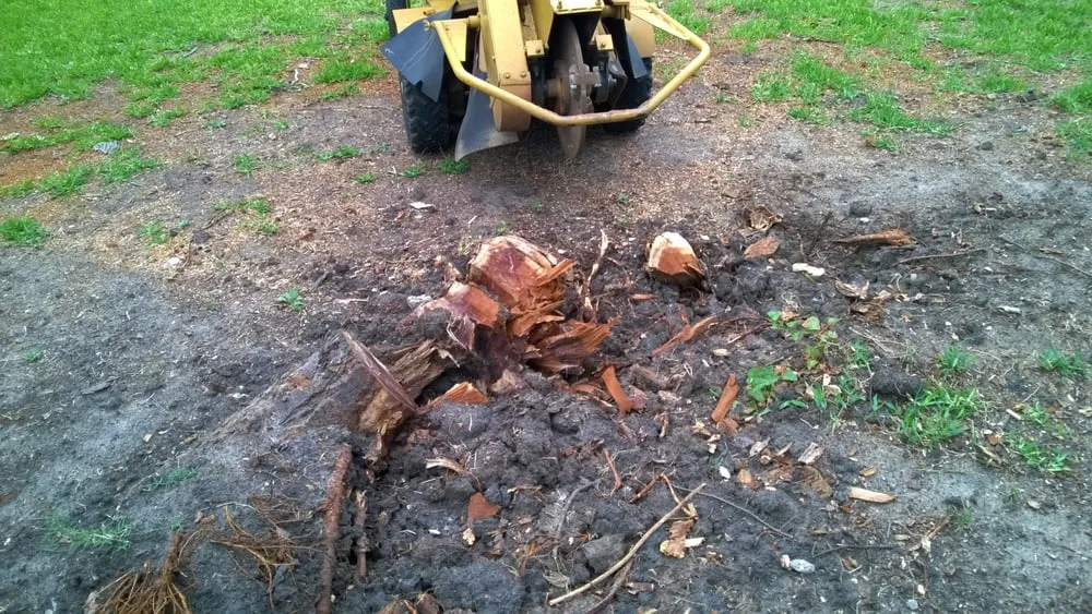 Expert residential landscaping in Grand Prairie, TX by American Stump Grinding