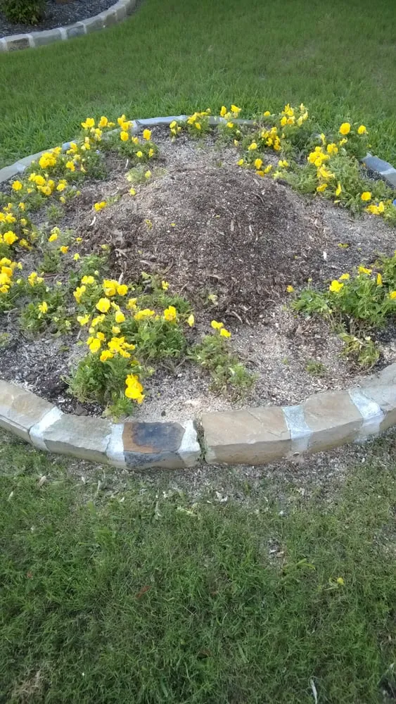 Professional outdoor landscaping experts serving Grand Prairie, TX - American Stump Grinding