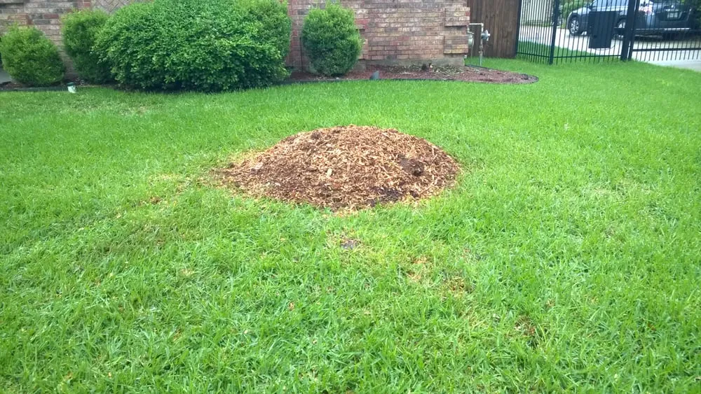 Top-rated landscaping services for beautiful yards in Grand Prairie, TX by American Stump Grinding