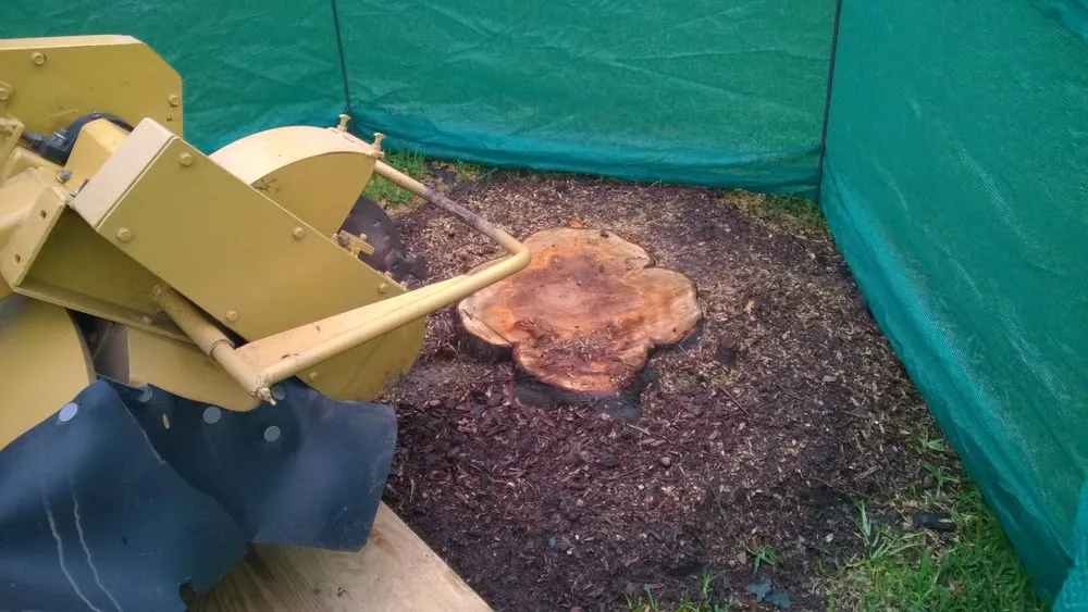 Reliable outdoor landscaping experts serving Grand Prairie, TX - American Stump Grinding