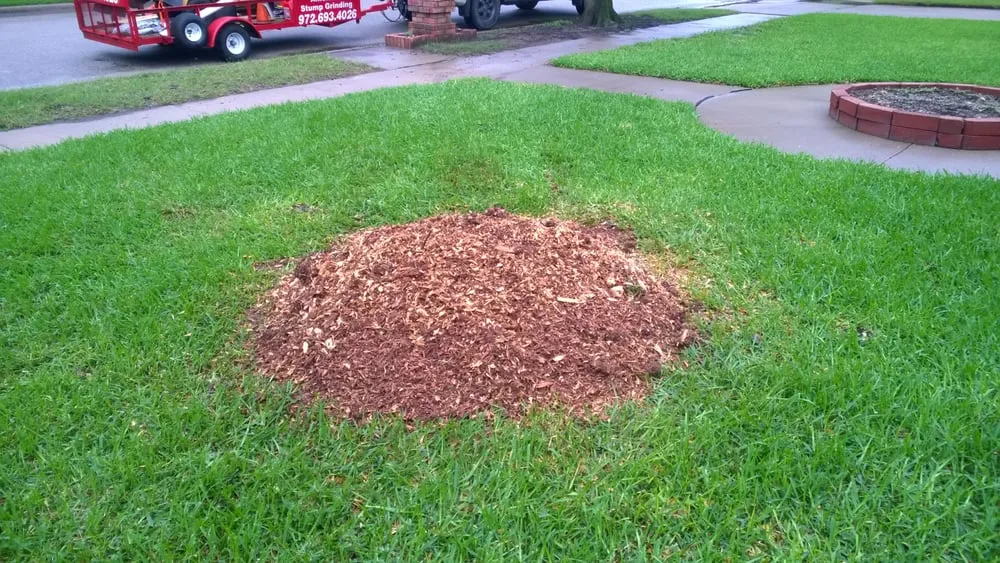 Local landscaping services experts serving Grand Prairie, TX - American Stump Grinding