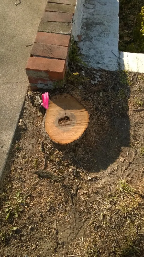 Reliable residential landscaping in Grand Prairie, TX - American Stump Grinding