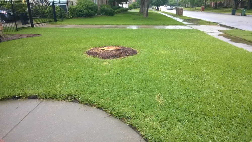 Expert landscape design with custom design across Grand Prairie, TX - American Stump Grinding