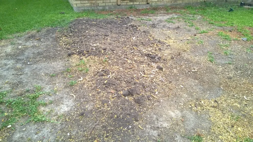 Professional yard maintenance experts serving Grand Prairie, TX - American Stump Grinding