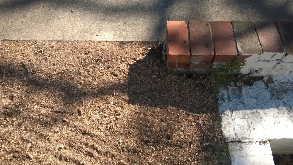 Local lawn care service experts serving Grand Prairie, TX - American Stump Grinding