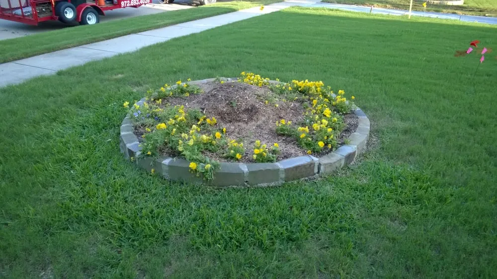Reliable lawn mowing service with custom design in Grand Prairie, TX by American Stump Grinding