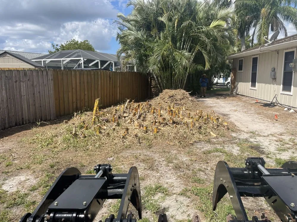 Top-rated lawn care service for outdoor upgrades across Fort Lauderdale, FL - American Stump Removal Services
