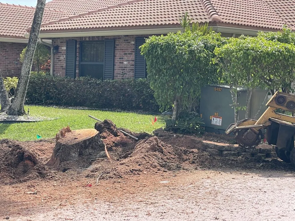 Reliable lawn mowing service experts serving Fort Lauderdale, FL - American Stump Removal Services