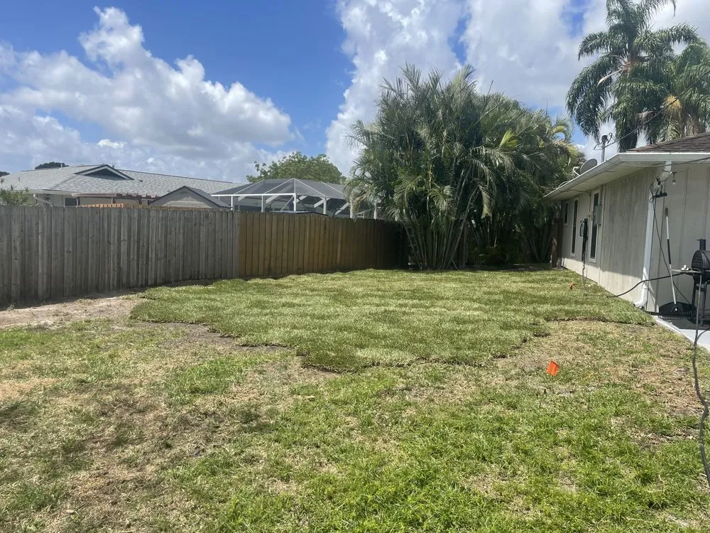 Professional landscape installation for year-round maintenance in Fort Lauderdale, FL by American Stump Removal Services