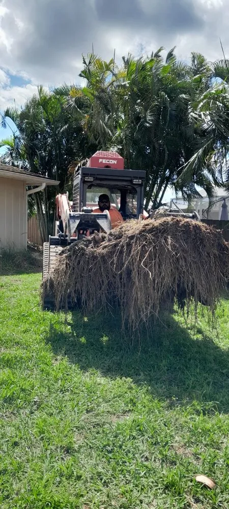 Top-rated lawn mowing service experts serving Fort Lauderdale, FL - American Stump Removal Services