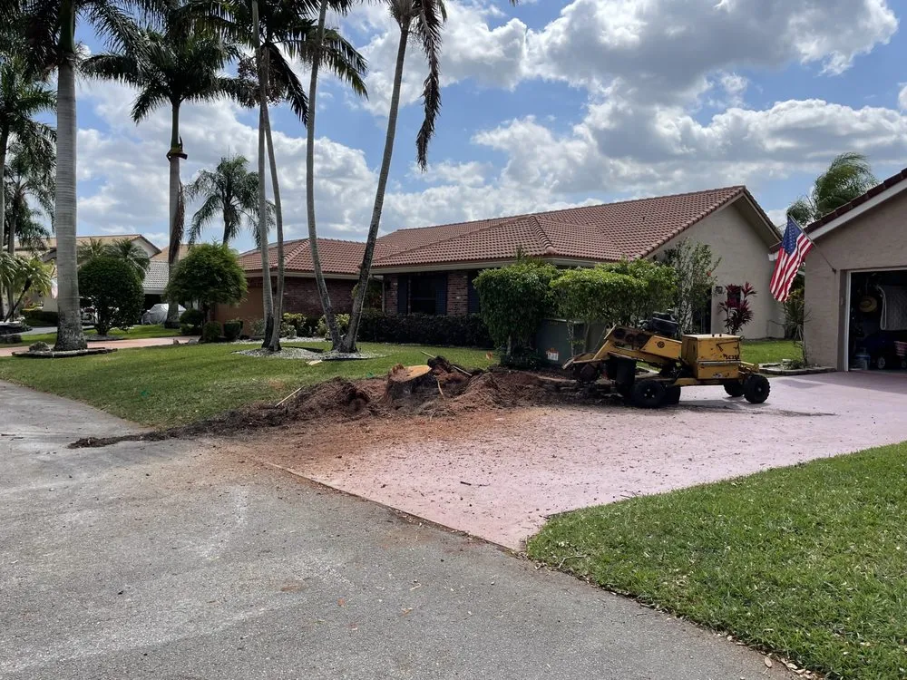 Expert landscape installation in Fort Lauderdale, FL by American Stump Removal Services