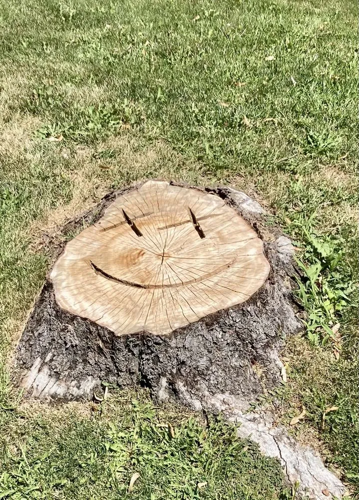 Professional lawn care service with custom design in Westminster, CO by American Stumpbusters