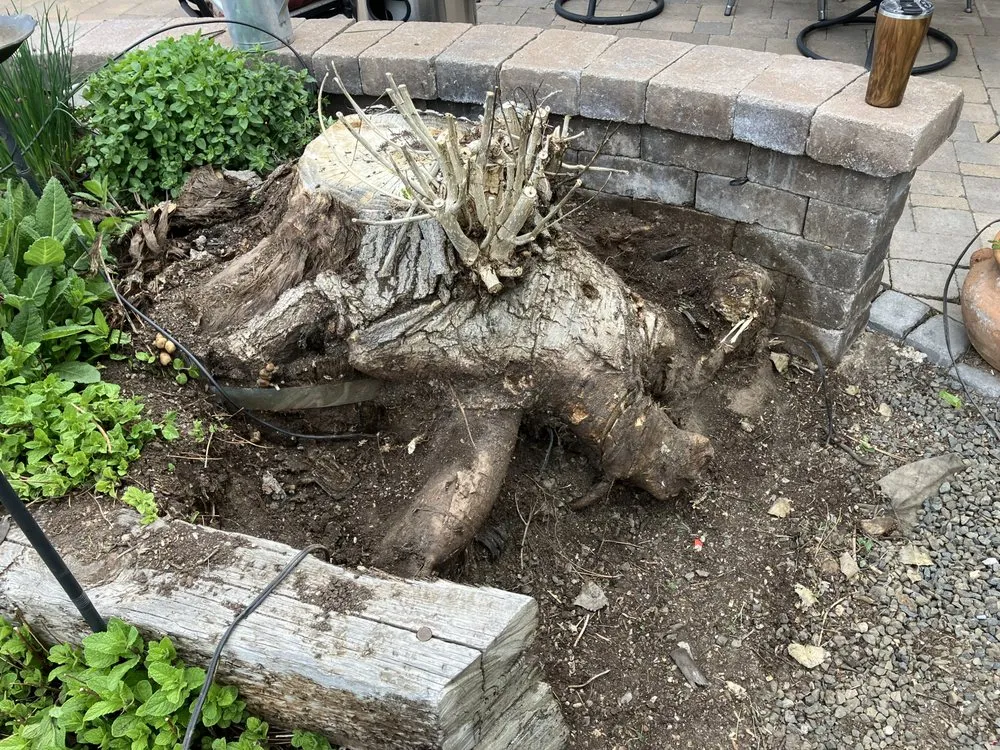 Top-rated landscape design for beautiful yards in Westminster, CO by American Stumpbusters