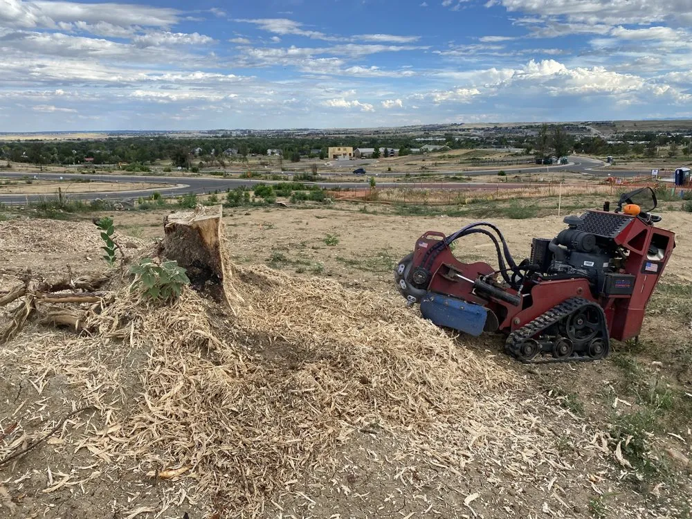 Reliable residential landscaping in Westminster, CO - American Stumpbusters
