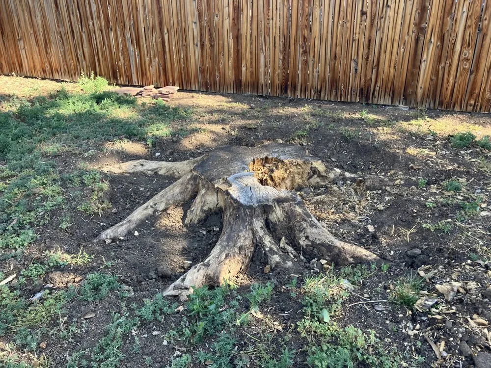 Trusted lawn mowing service experts serving Westminster, CO - American Stumpbusters