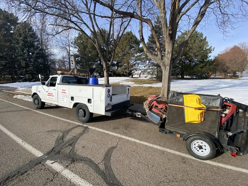Custom yard cleanup service experts serving Westminster, CO - American Stumpbusters