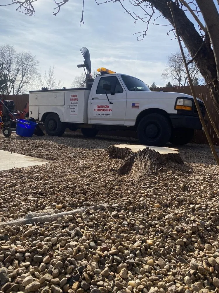 Affordable garden landscaping for outdoor upgrades across Westminster, CO - American Stumpbusters