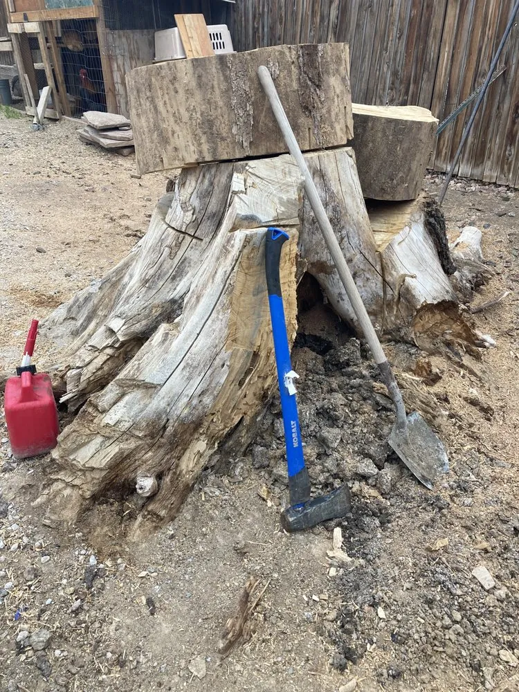 Trusted landscaping services experts serving Westminster, CO - American Stumpbusters