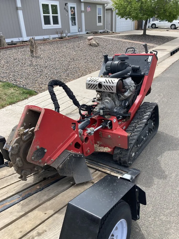 Professional residential landscaping in Westminster, CO by American Stumpbusters