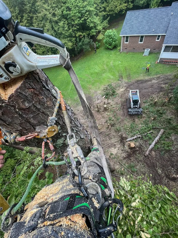 Professional lawn mowing service near you in Lancaster, SC by American Terrain and Tree Service