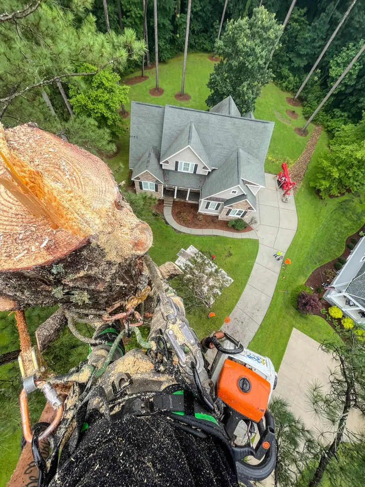 Local landscaping services for residential properties in Lancaster, SC by American Terrain and Tree Service