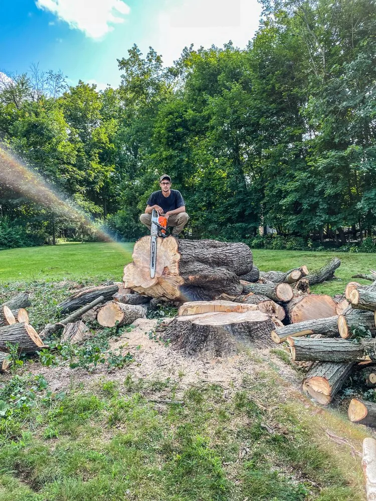 Reliable lawn care service experts serving Lancaster, SC - American Terrain and Tree Service