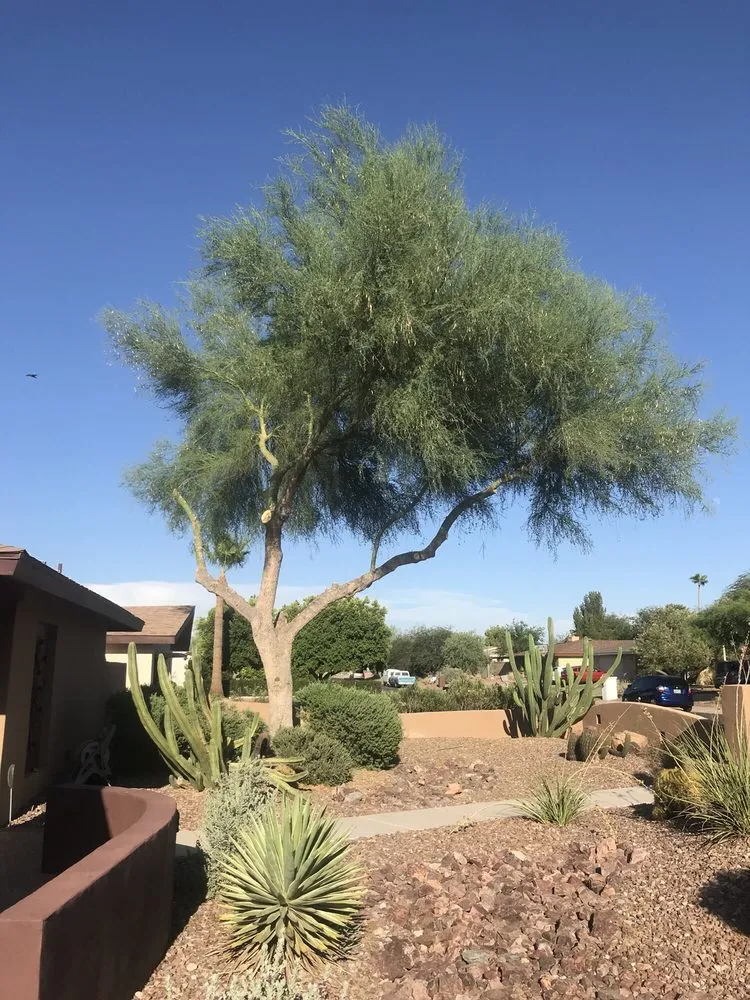 Trusted garden landscaping in phoenix, AZ - American Tree & Landscape