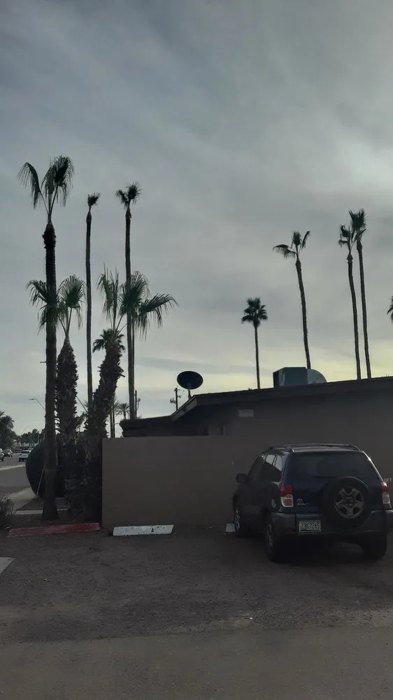 Professional garden landscaping for homes across phoenix, AZ - American Tree & Landscape