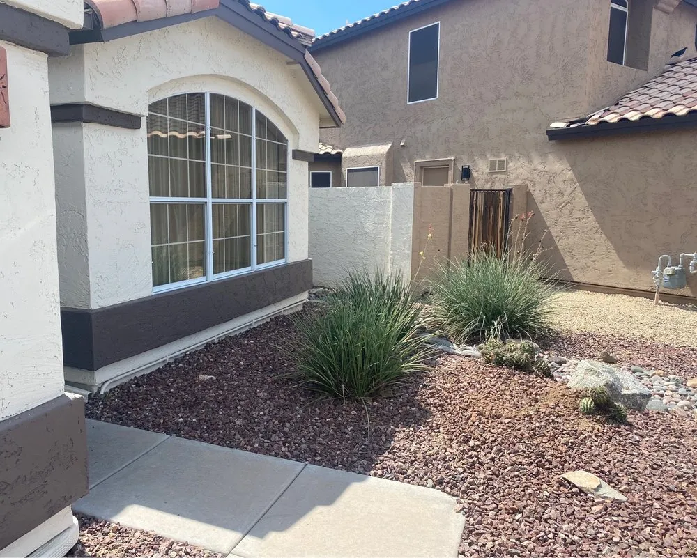 Affordable landscape design in phoenix, AZ - American Tree & Landscape