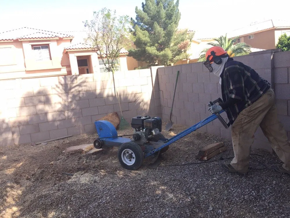 Professional residential landscaping for outdoor upgrades in phoenix, AZ by American Tree & Landscape