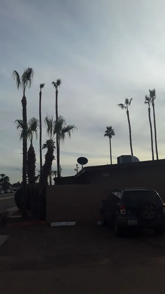 Top-rated yard maintenance for residential properties across phoenix, AZ - American Tree & Landscape