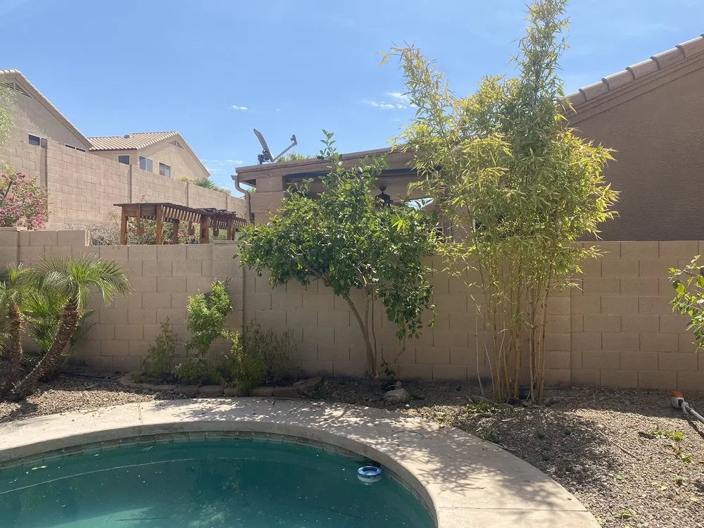 Trusted outdoor landscaping in phoenix, AZ - American Tree & Landscape