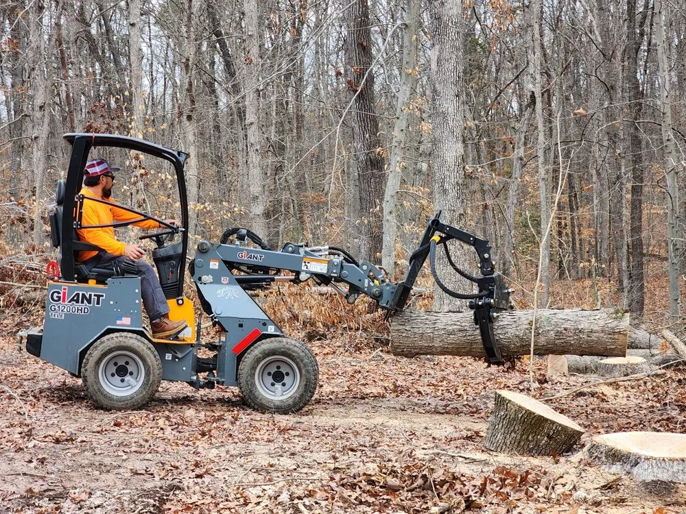 Top-rated landscaping services in Dumfries, VA - American Tree & Landscaping