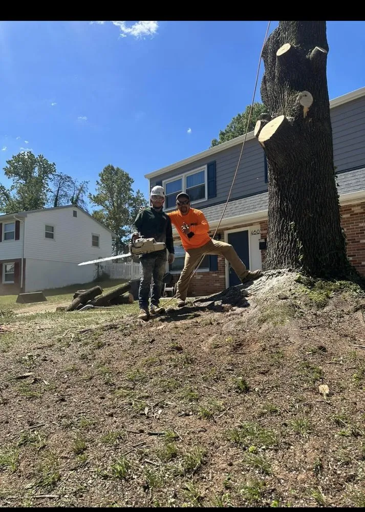 Custom residential landscaping in Dumfries, VA - American Tree & Landscaping